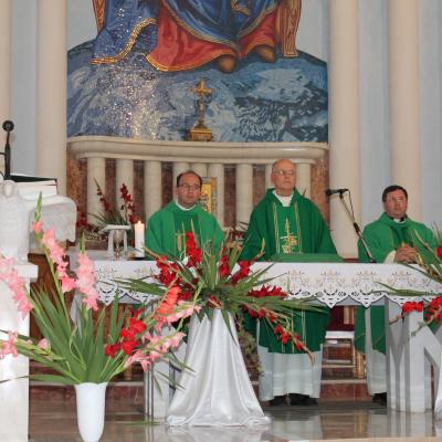 9 august: Rădăuţi: Vizita cardinalului Joachim Meisner
