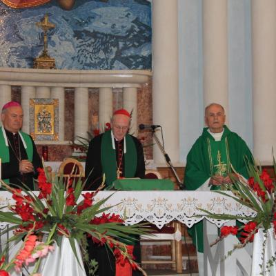 9 august: Rădăuţi: Vizita cardinalului Joachim Meisner