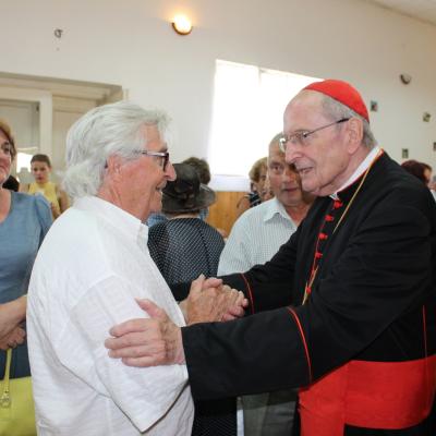 9 august: Rădăuţi: Vizita cardinalului Joachim Meisner