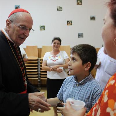 9 august: Rădăuţi: Vizita cardinalului Joachim Meisner