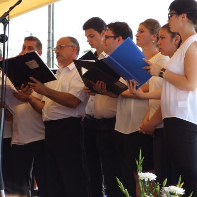 15 august: Pelerinajul de la Cacica 2015