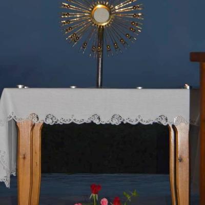 16-20 august: Viişoara: Exerciţii spirituale pentru tinere