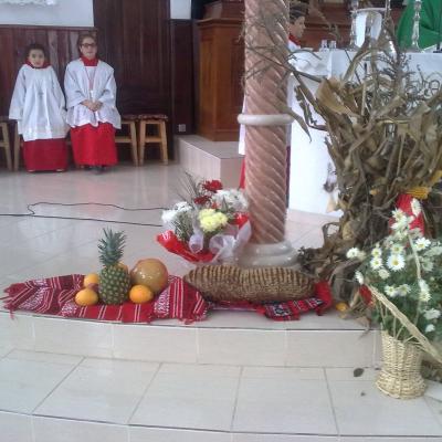8 noiembrie: Valea Mică: Ziua Recoltei şi a Recunoştinţei