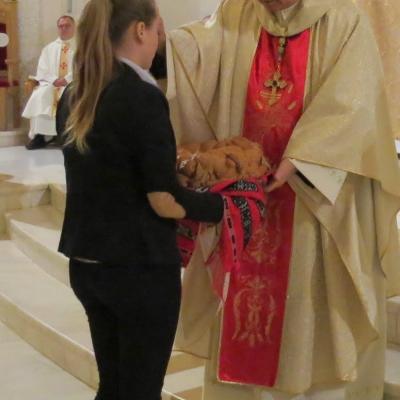 10 noiembrie: Caritas Iaşi la a 25-a aniversare