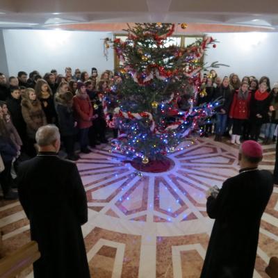 13-23 decembrie: Iaşi: Colindători la Episcopie