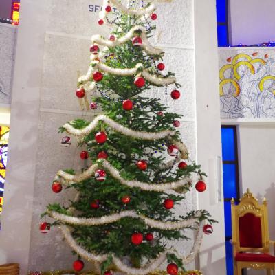 19 decembrie: Iaşi: "Lumina Păcii"