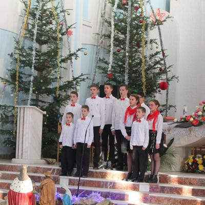28 decembrie: Tămăşeni: Festival de colinde