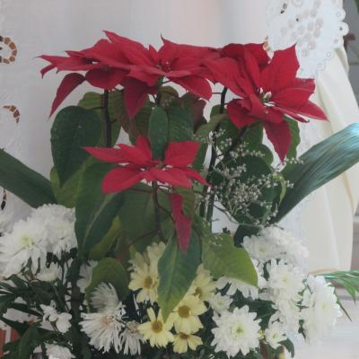 2 februarie: Oneşti: Celebrarea zonală a Zilei Mondiale a Persoanelor Consacrate