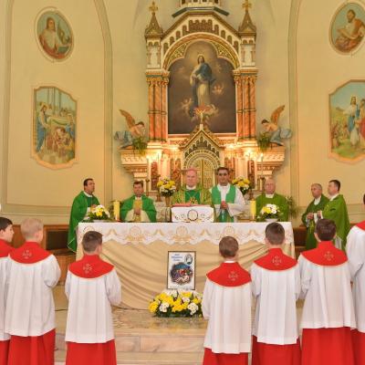 4-7 februarie: Siret: Încheierea misiunilor populare