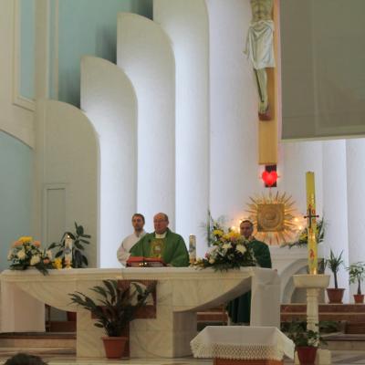 7-11 februarie: Tămăşeni: Zilele familiei şi ale milostivirii