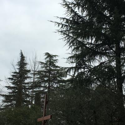 13 martie: Padova: Îngenuncheaţi în faţa crucii
