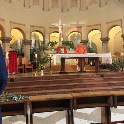 20 martie: Padova: Parcursul jubiliar în bazilica "Sfântul Anton"
