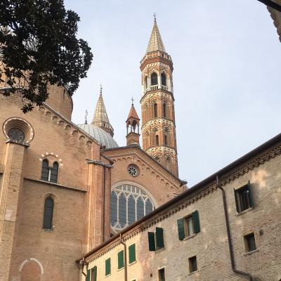 20 martie: Padova: Parcursul jubiliar în bazilica "Sfântul Anton"