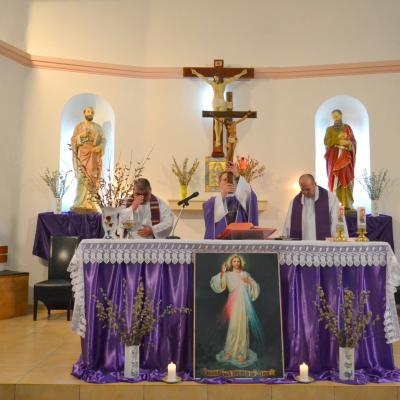 21-23 martie: Slobozia şi Boghicea: Misiuni populare