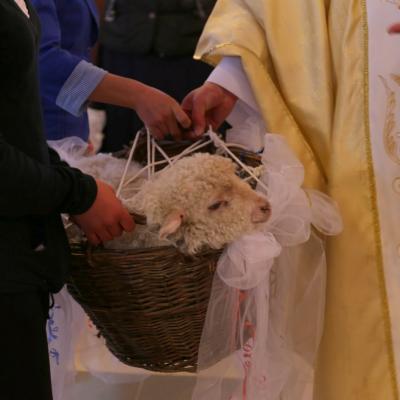 17 aprilie: Cleja "Sfântul Francisc": Prima Împărtăşanie