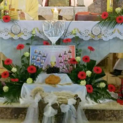 17 aprilie: Cleja "Sfântul Francisc": Prima Împărtăşanie