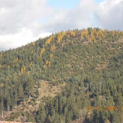 1-2 noiembrie: Ciugheş: Pomenirea tuturor credincioşilor răposaţi