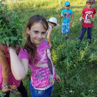 26 iunie - 9 iulie: Ploscuţeni: GREF