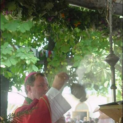 25 august: Mirul la Săbăoani