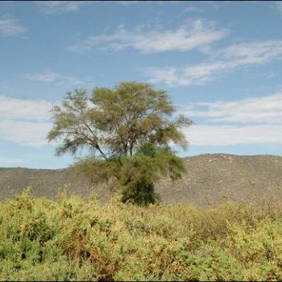 28 noiembrie: Impresii dintr-o vizită în Kenya