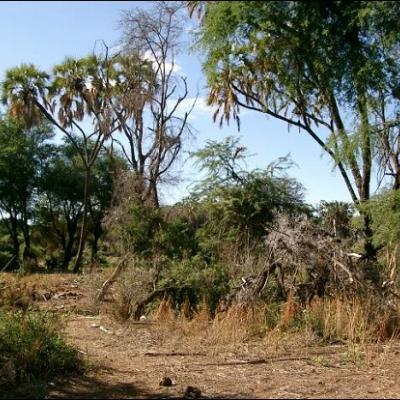 28 noiembrie: Impresii dintr-o vizită în Kenya
