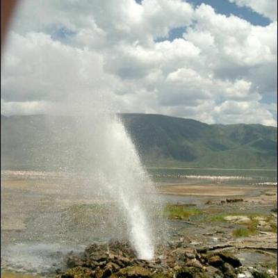 28 noiembrie: Impresii dintr-o vizită în Kenya