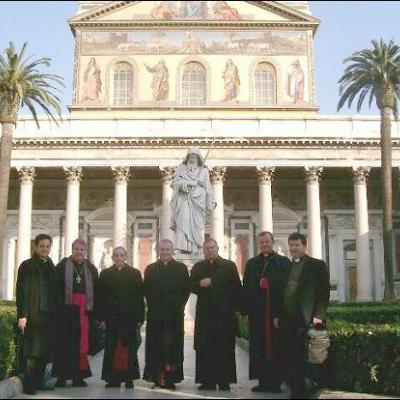 Imagini de la vizita ad limina