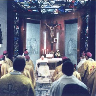 Imagini de la vizita ad limina