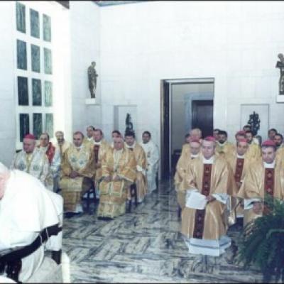 Imagini de la vizita ad limina