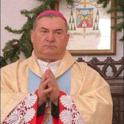 Celebrare cu ocazia celor 25 de ani de păstorire (Focus)