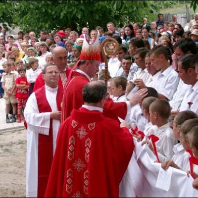Administrarea Mirului în Parohia Vladnic