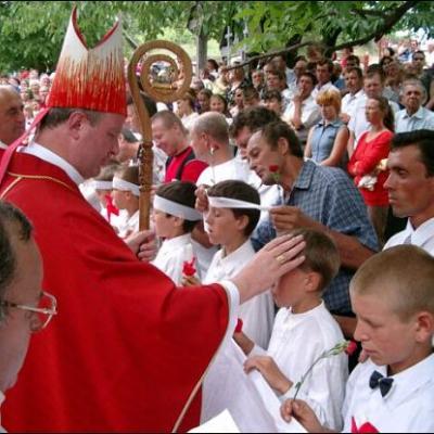 Administrarea Mirului în Parohia Vladnic
