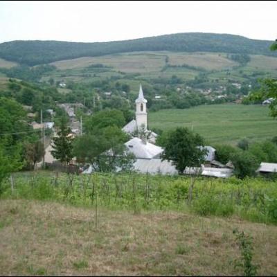 Administrarea Mirului în Parohia Vladnic