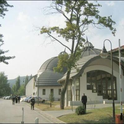 Pentru pastoraţia ţiganilor