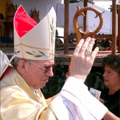 Pelerinaj marian la Cacica