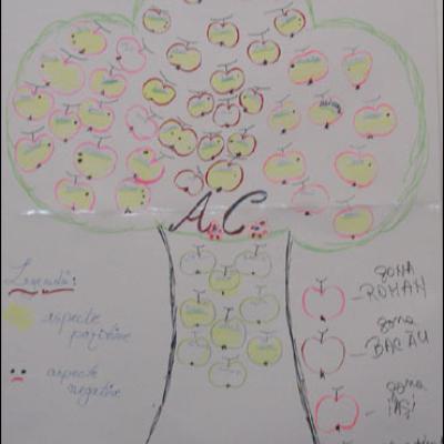 Curs de formare la Iaşi