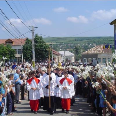 Sfântul Anton la Răducăneni