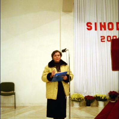Iaşi: A doua sesiune plenară a Sinodului diecezan (II)