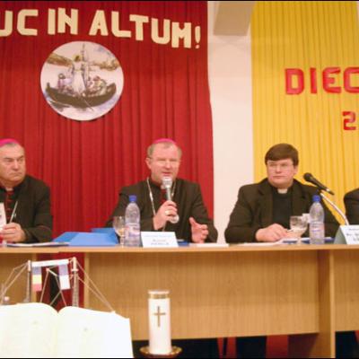 Iaşi: A doua sesiune plenară a Sinodului diecezan (II)