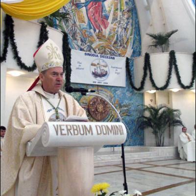 Iaşi: Închiderea oficială a Sinodului diecezan (II)