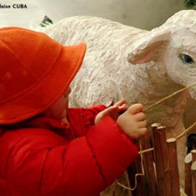 Iaşi: Sfânta Liturghie din ziua de Crăciun (FOCUS)