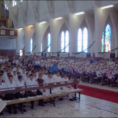 Administrarea Mirului în Parohia Nicolae Bălcescu