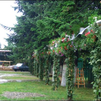 Administrarea Mirului în Parohia Oituz