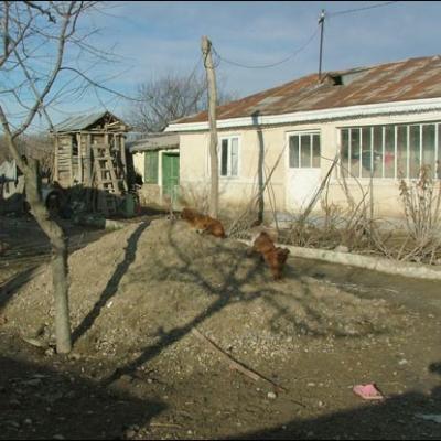18 februarie 2006: Caritas: O zi la Vadu Roşca