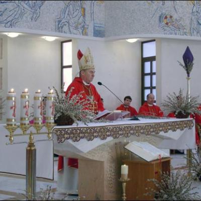 9 aprilie 2006: Iaşi: Duminica Floriilor - Ziua Tinerilor