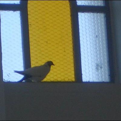 23 iulie 2006: Administrarea Mirului la Belceşti şi Cotnari