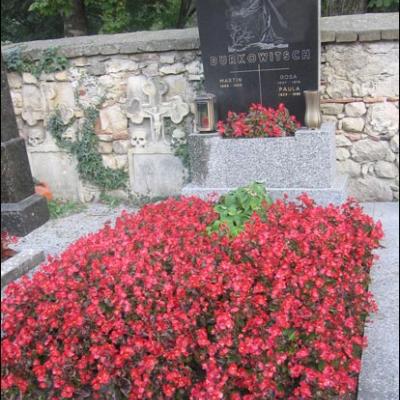 13-15 septembrie 2006: Pelerinaj diecezan la Lourdes