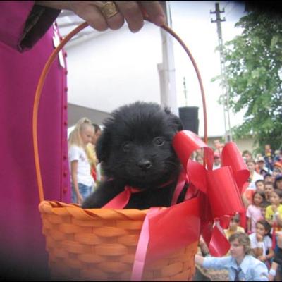2 iunie 2007: Răchiteni: Sărbătoarea Copiilor