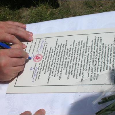 3 iunie 2007: Iaşi ("Sf. Tereza"): Sub adierea Duhului Sfânt şi privind la Maria (foto: Ovidiu Bişog)
