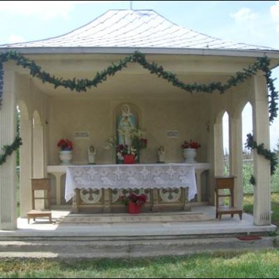 9 iunie 2007: Buhonca: Consacrarea altarului şi sacramentul Mirului